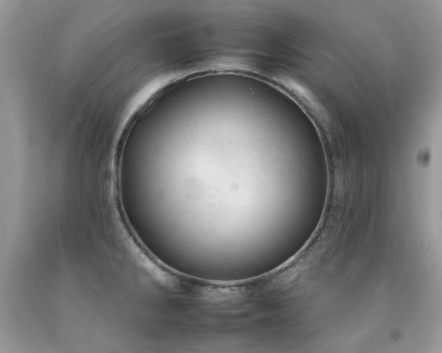 X0000092261286200709141201
