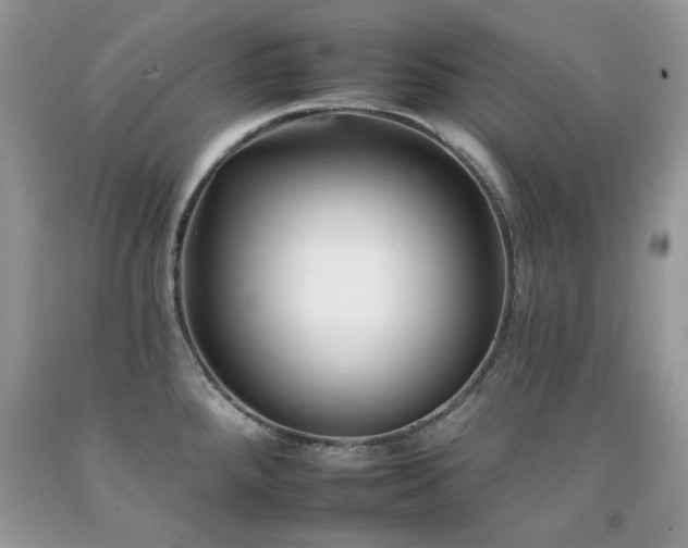 X0000092261288200709141201