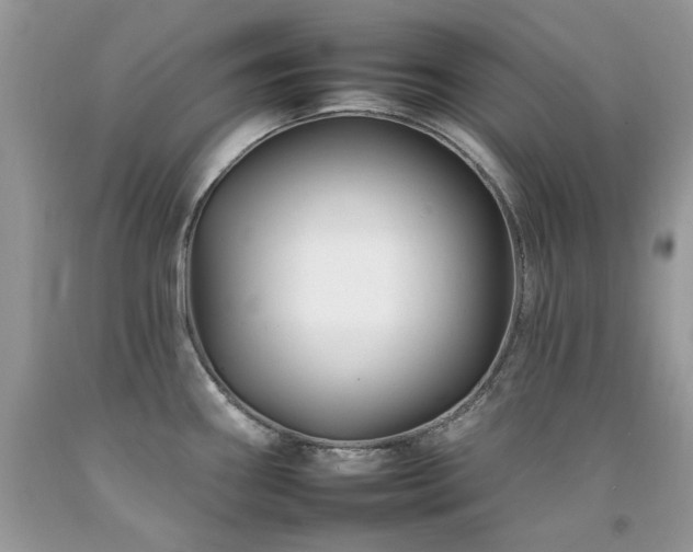 X0000092261290200709141201