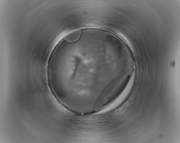 X0000092261291200709141201