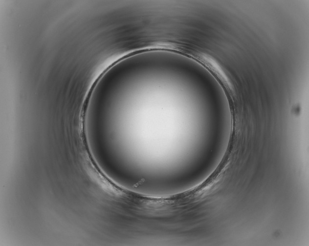 X0000092261292200709141201