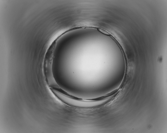 X0000092261293200709141201