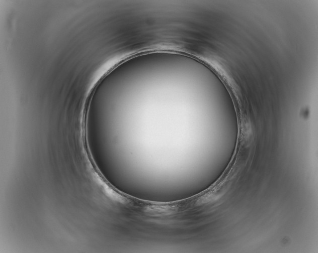 X0000092261294200709141201