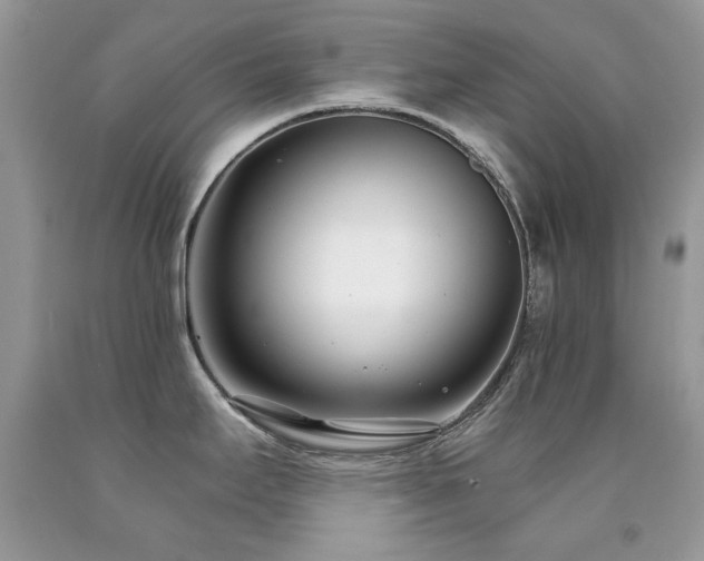X0000092261295200709141201