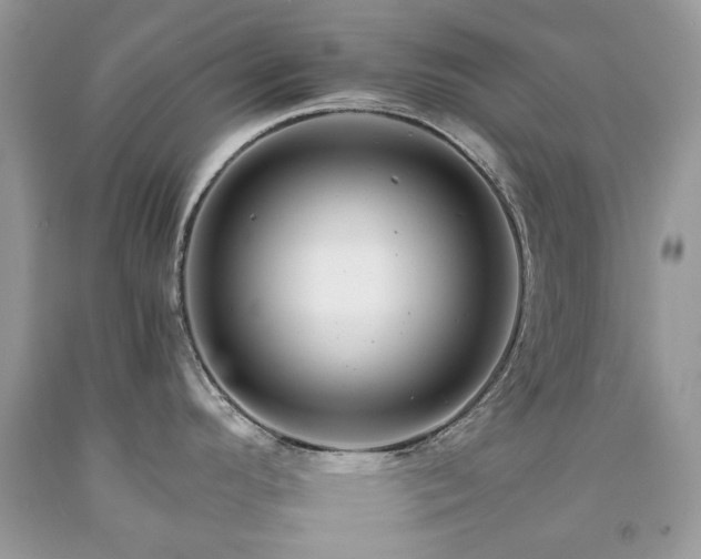 X0000092261296200709141201