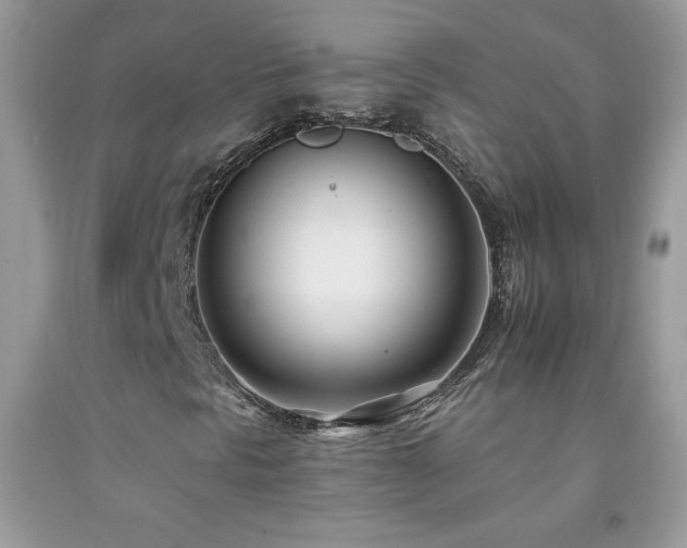 X0000092261297200709141200