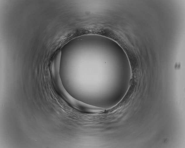 X0000092261298200709141200