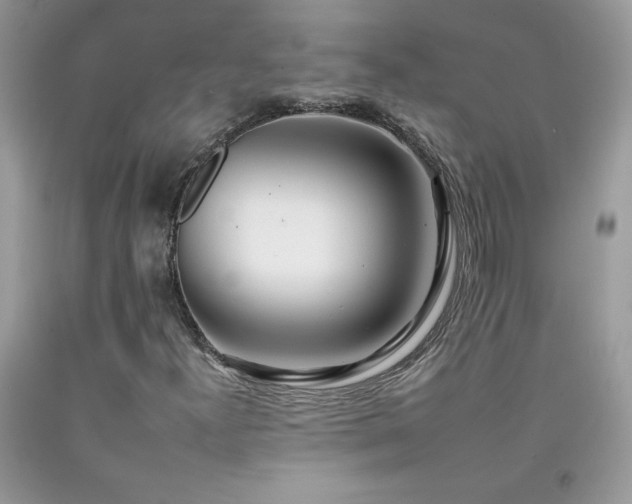 X0000092261300200709141200
