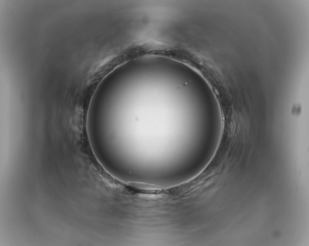 X0000092261301200709141200