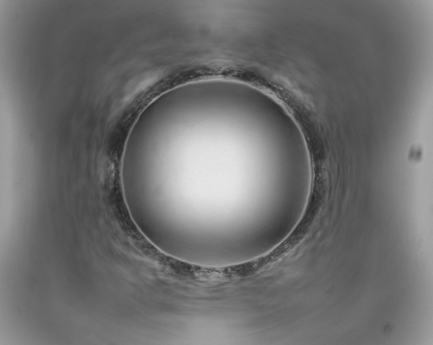 X0000092261302200709141200