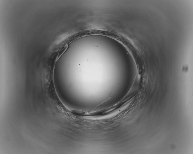 X0000092261303200709141200