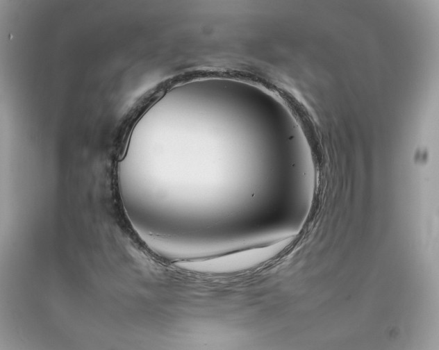 X0000092261304200709141200
