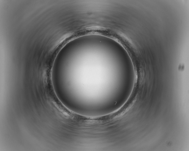 X0000092261305200709141200