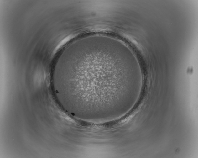 X0000092261306200709141201