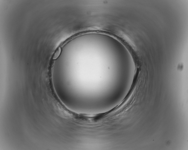 X0000092261308200709141201