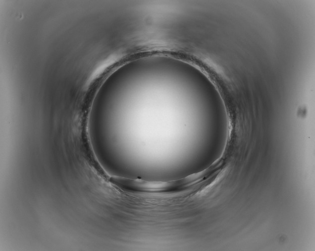 X0000092261309200709141201