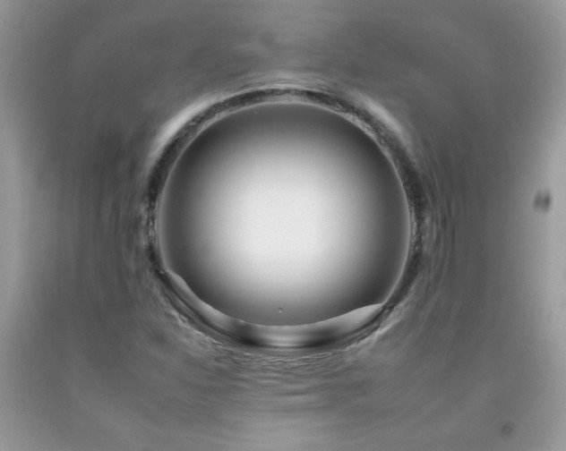 X0000092261310200709141201