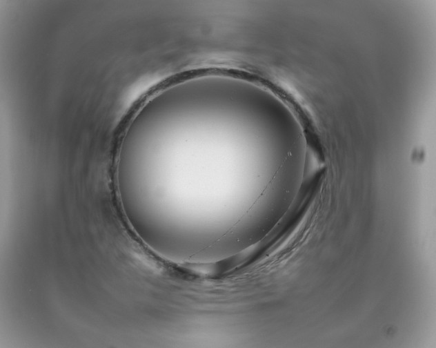 X0000092261312200709141201