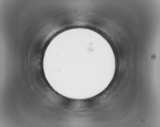 X0000092261314200709141201