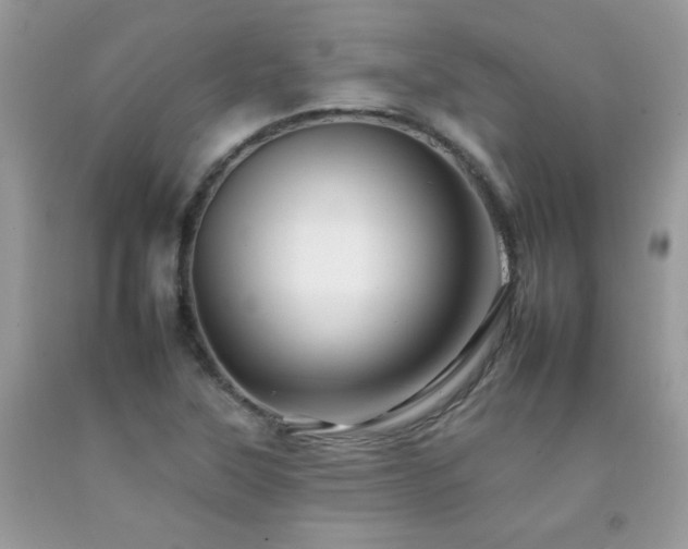 X0000092261315200709141201