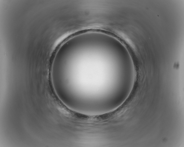 X0000092261316200709141201