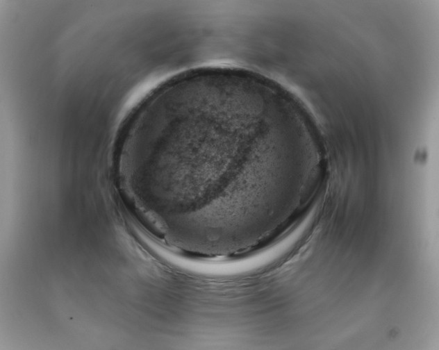 X0000092261319200709141201
