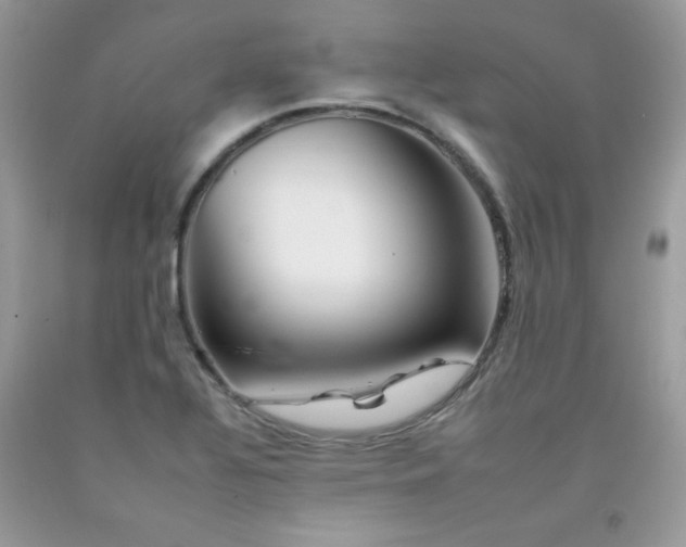 X0000092261320200709141201