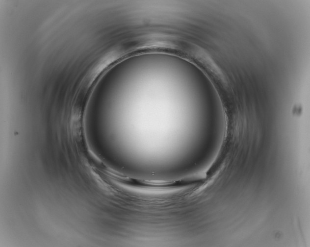 X0000092261321200709141201
