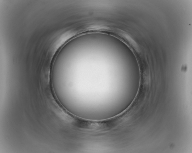 X0000092261322200709141201