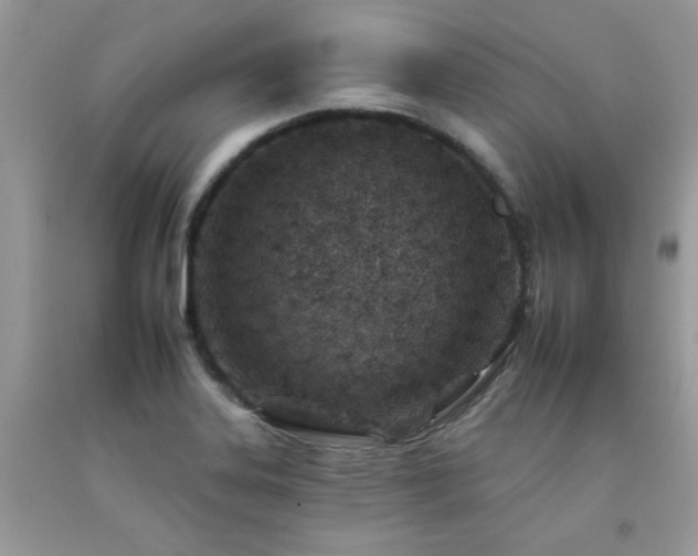X0000092261323200709141201