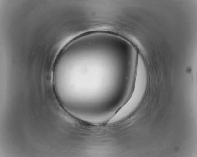 X0000092261324200709141201