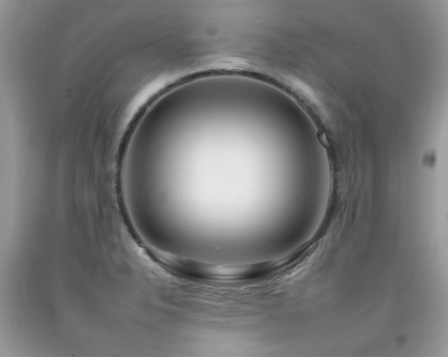 X0000092261326200709141201