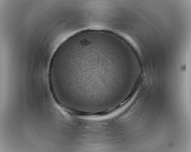 X0000092261327200709141201
