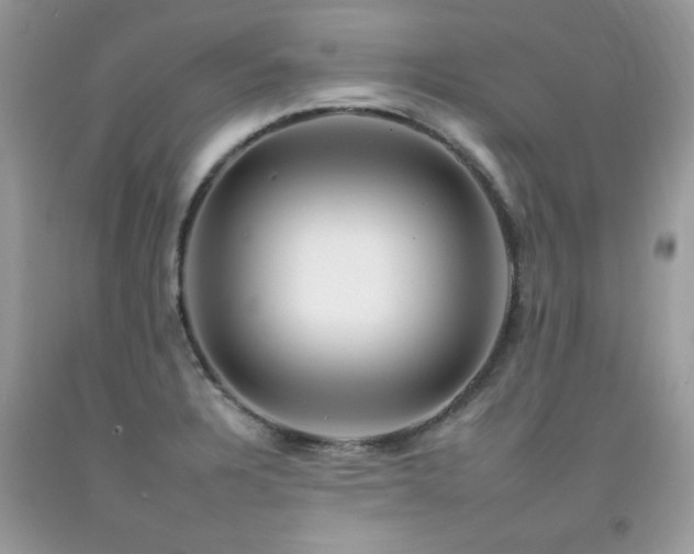 X0000092261328200709141201