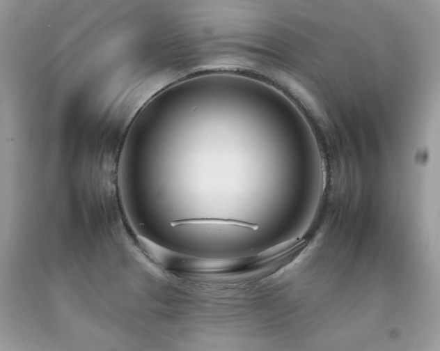 X0000092261329200709141201