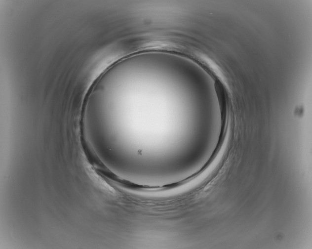 X0000092261330200709141201