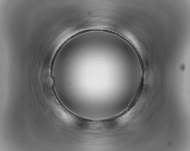 X0000092261332200709141201