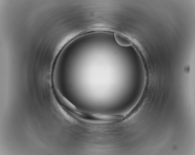 X0000092261333200709141201