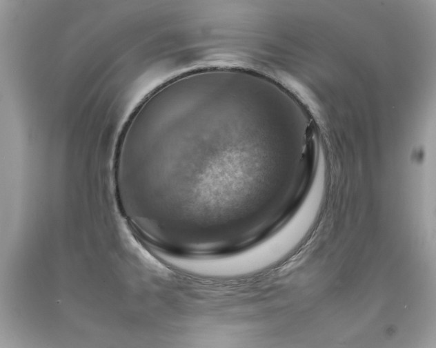 X0000092261334200709141201