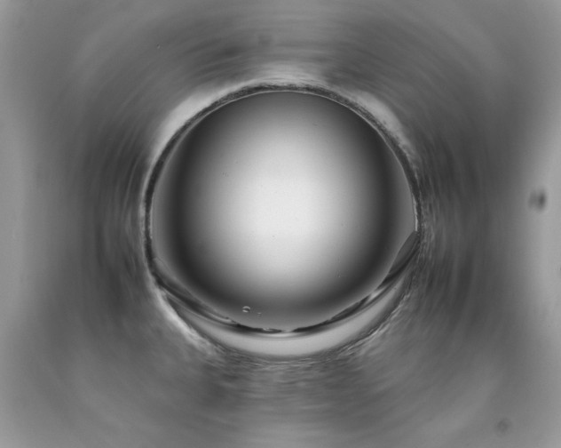 X0000092261335200709141201