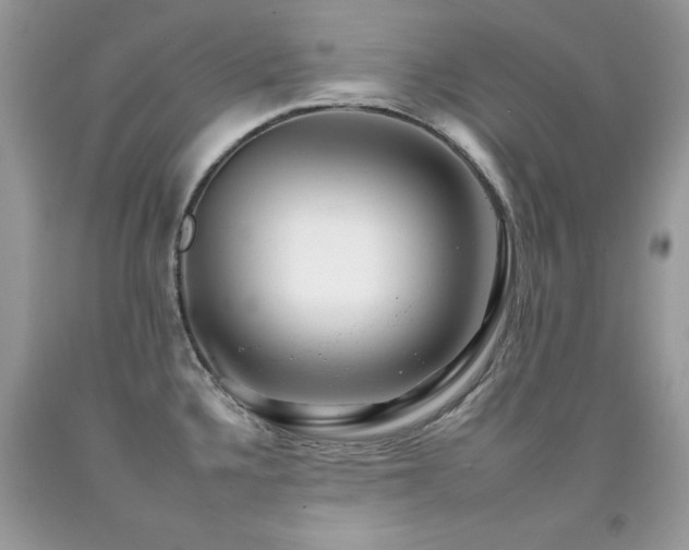 X0000092261336200709141201
