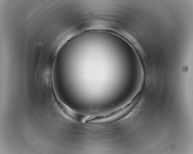 X0000092261337200709141201
