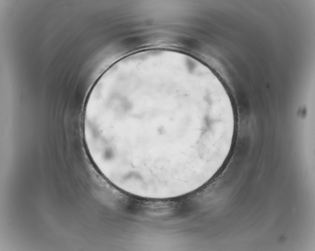 X0000092261338200709141201