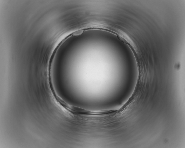 X0000092261339200709141201
