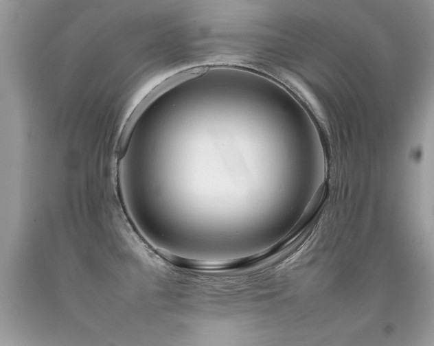 X0000092261340200709141201
