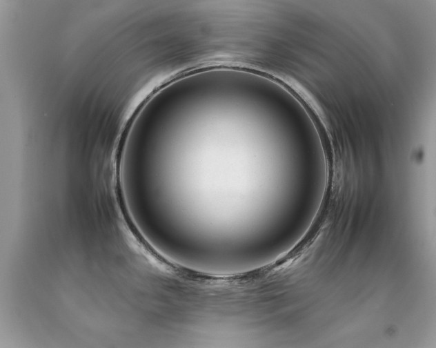 X0000092261341200709141201