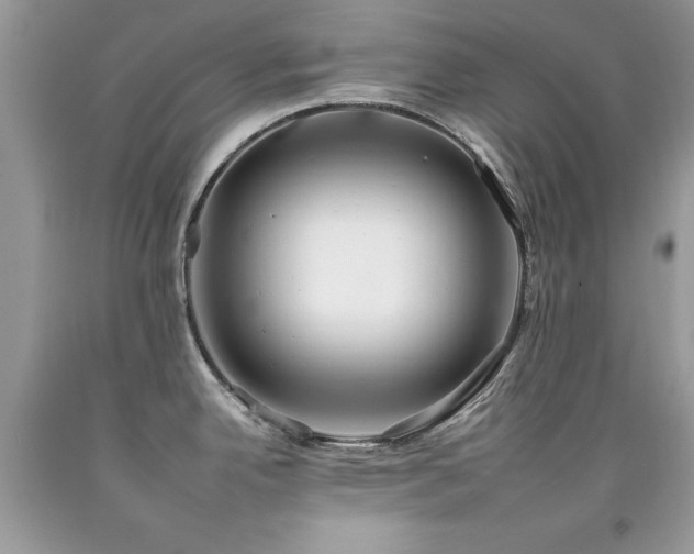 X0000092261342200709141201