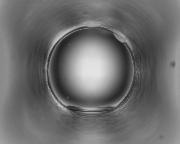 X0000092261343200709141201