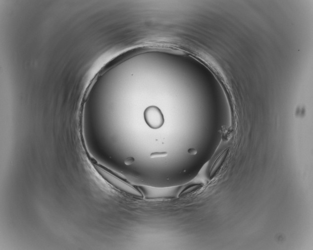 X0000092261344200709141201