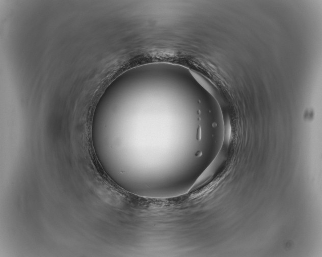 X0000092261345200709141200